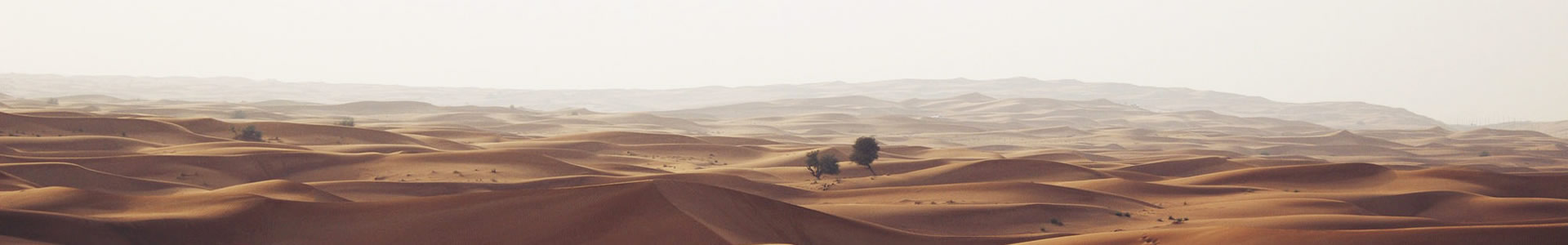 ˳λƼ޹˾